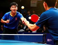 IM Sport-奥地利队鏖战法国队，张本智和状态火热的简单介绍