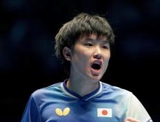 IM体育app-包含比利时乒乓球队血洗德国乒乓球队，张本智和制霸全场的词条