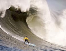 IM体育官方网站-橙衣风暴中的定海神针—德里赫特在美加墨世界杯之夜的存在感艺术