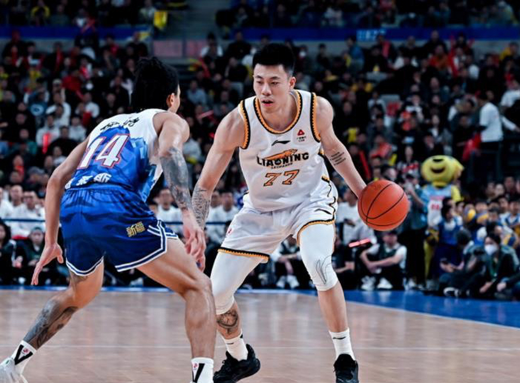 IM体育动画直播通道-辽宁男篮击败吉林队，保持不败纪录的简单介绍